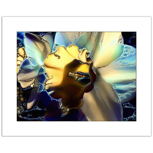 Daffodil Print, Giclee